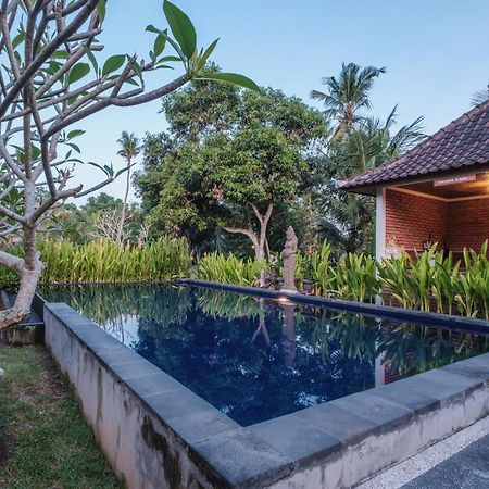 Dhiari Guest House Ubud  Luaran gambar